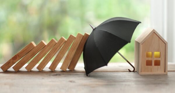 WhatsApp Image 2024-12-01 at 12.09.50 (12)