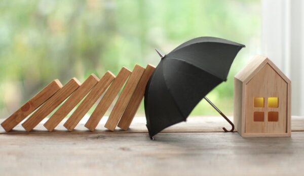 WhatsApp Image 2024-12-01 at 12.09.50 (12)