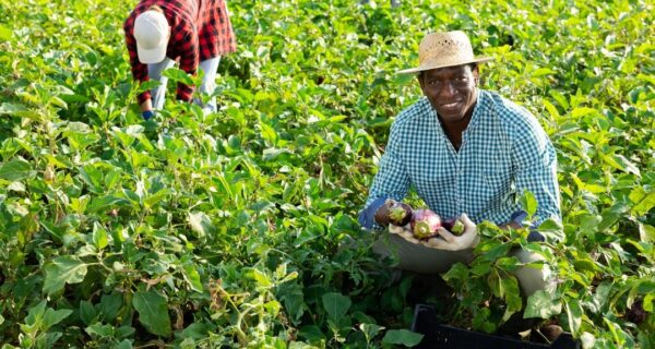 WhatsApp Image 2024-12-01 at 12.09.50 (16)