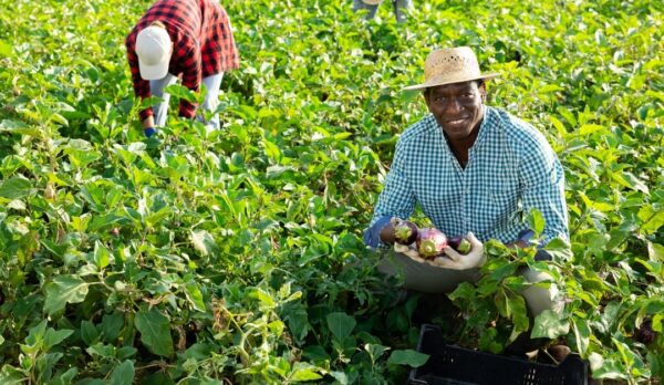 WhatsApp Image 2024-12-01 at 12.09.50 (16)