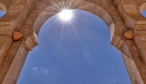 WhatsApp Image 2024-12-01 at 12.09.50